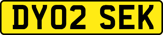 DY02SEK