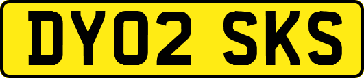 DY02SKS