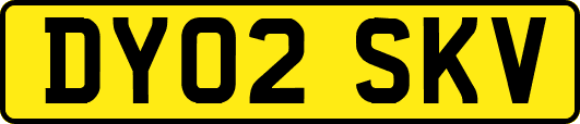 DY02SKV