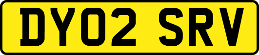 DY02SRV