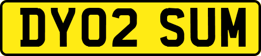DY02SUM