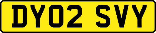 DY02SVY
