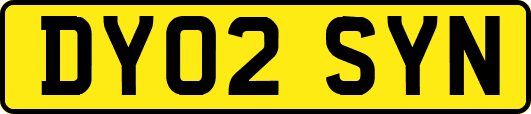 DY02SYN