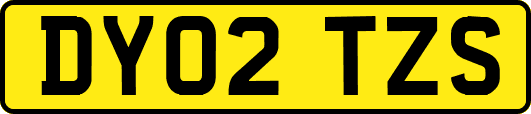 DY02TZS