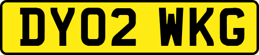 DY02WKG