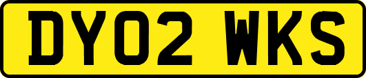 DY02WKS