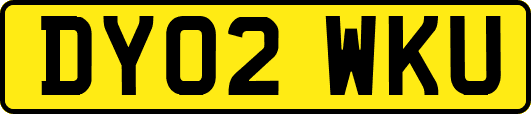DY02WKU