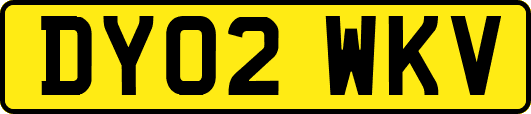 DY02WKV