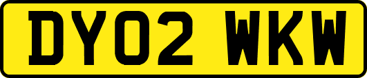 DY02WKW