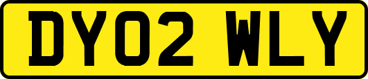 DY02WLY