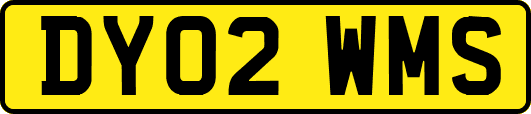DY02WMS