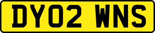 DY02WNS