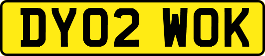 DY02WOK