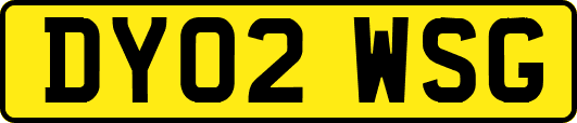 DY02WSG