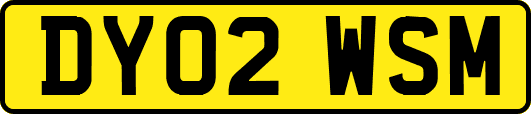 DY02WSM