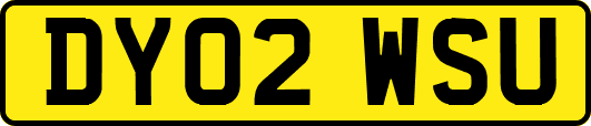 DY02WSU
