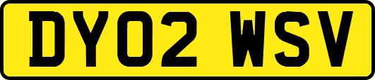 DY02WSV