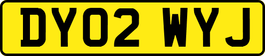 DY02WYJ