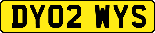 DY02WYS