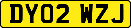 DY02WZJ