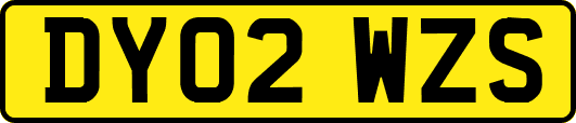DY02WZS
