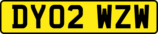 DY02WZW