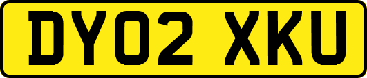 DY02XKU