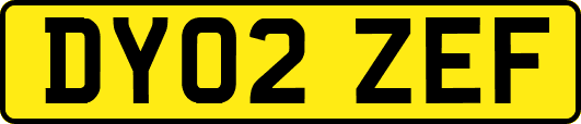 DY02ZEF