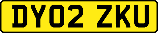 DY02ZKU