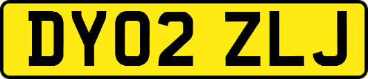 DY02ZLJ