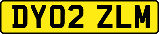 DY02ZLM