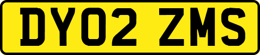 DY02ZMS
