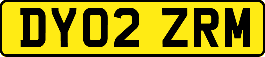 DY02ZRM
