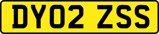 DY02ZSS