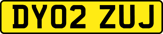 DY02ZUJ