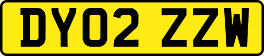 DY02ZZW