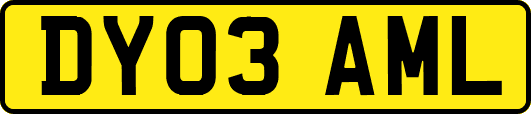 DY03AML