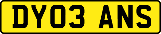 DY03ANS