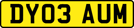 DY03AUM
