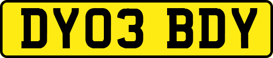 DY03BDY