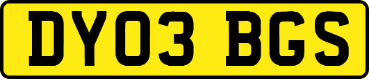 DY03BGS