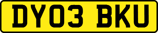 DY03BKU