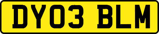 DY03BLM