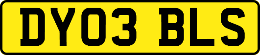 DY03BLS
