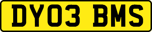 DY03BMS