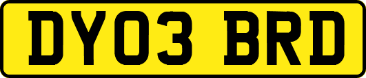 DY03BRD