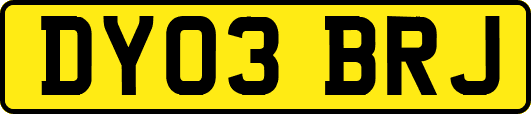DY03BRJ