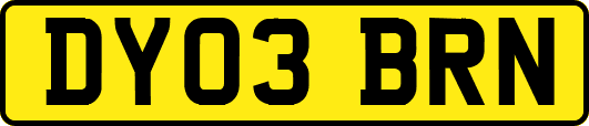 DY03BRN