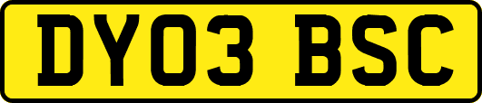 DY03BSC