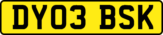 DY03BSK